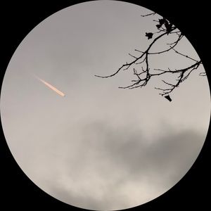 Meet your Posher, Mabel